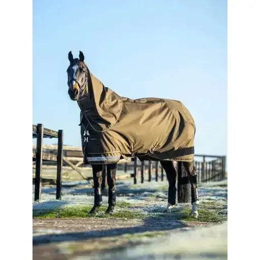 Lemieux Arika 600D Ripstop 100g Turnout Rug Alpine-Turnout Rugs-Lemieux-4'9-Alpine-Horsey Shopping
