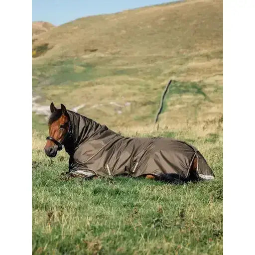 Lemieux Arika 600D Ripstop 100g Turnout Rug Alpine-Turnout Rugs-Lemieux-4'9-Alpine-Horsey Shopping