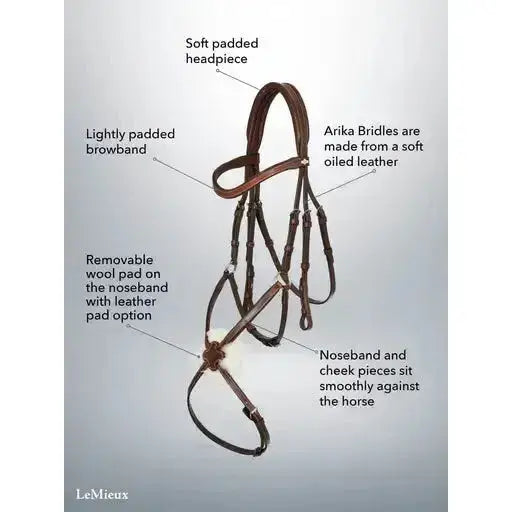 Lemieux Arika Grackle Bridle Black/Silver-Grackle Bridles-Lemieux-Pony-Black/Silver-Horsey Shopping