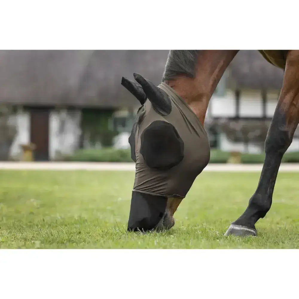 Lemieux Bug Relief Full Mask Walnut-Lycra Fly Masks-Lemieux-X Small-Horsey Shopping