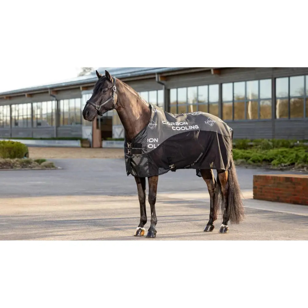 Lemieux Carbon Cooler Rug Black-Cooler Rugs-Lemieux-5'6"-Horsey Shopping