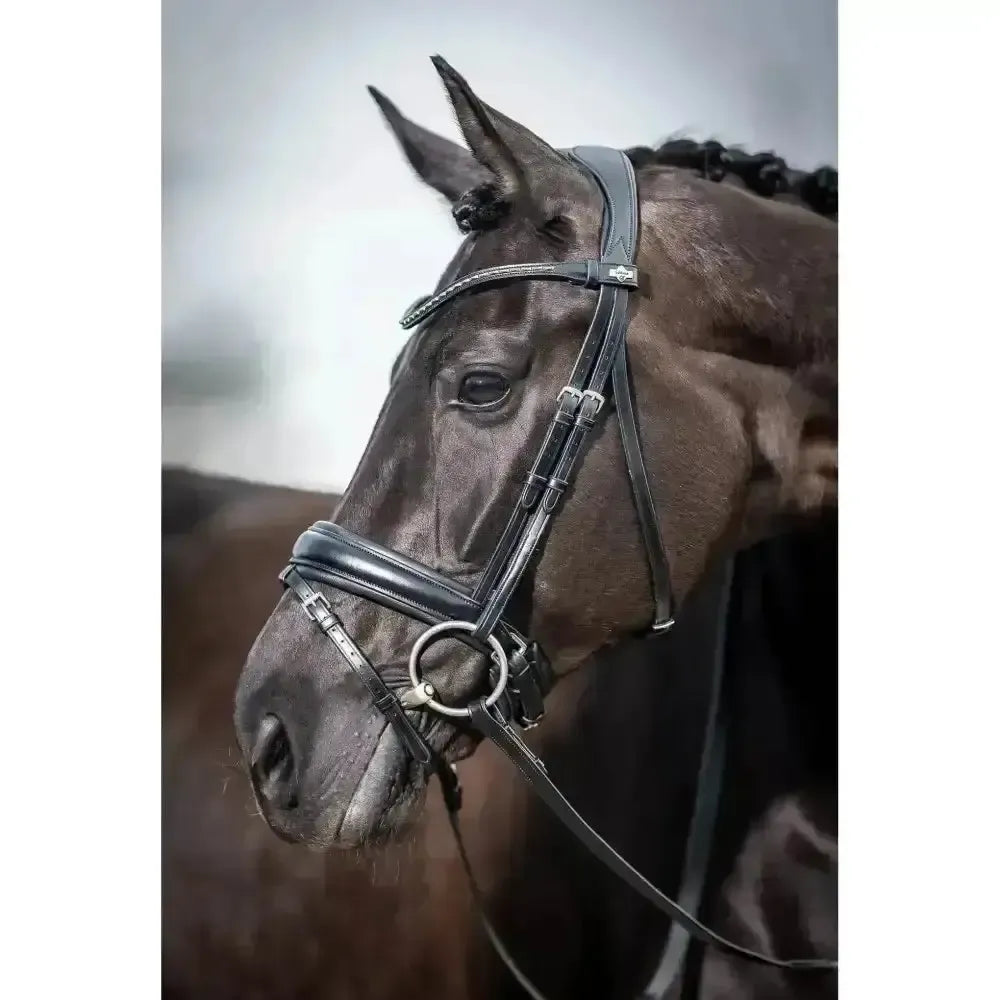 Lemieux Classic Dressage Bridle-Bridles-Lemieux-Black-Cob-Horsey Shopping
