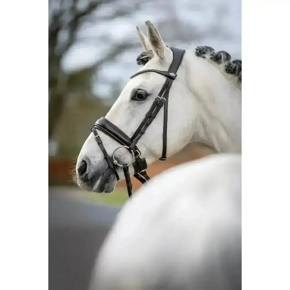 Lemieux Classic Dressage Bridle-Bridles-Lemieux-Black-Cob-Horsey Shopping
