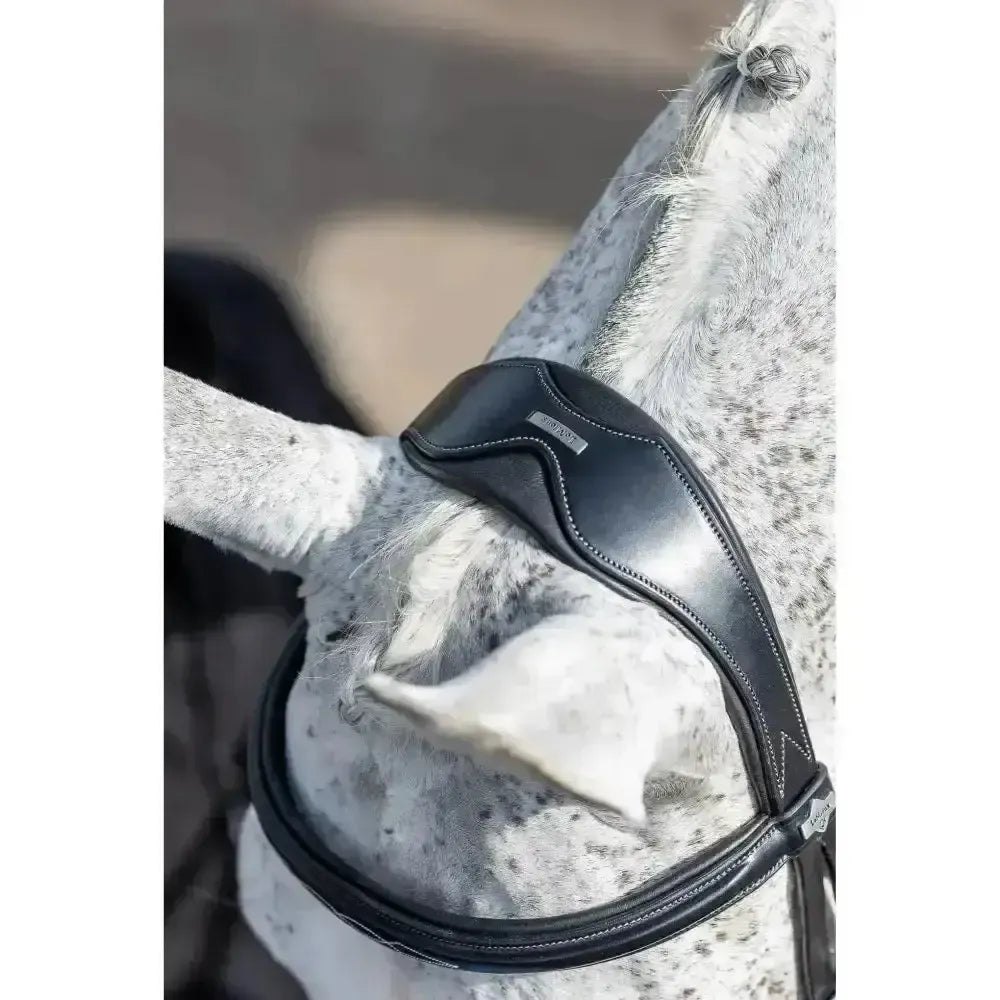 Lemieux Classic Dressage Bridle-Bridles-Lemieux-Black-Cob-Horsey Shopping