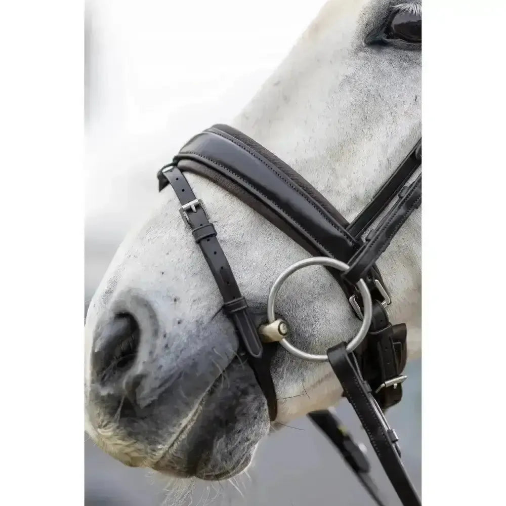 Lemieux Classic Dressage Bridle-Bridles-Lemieux-Black-Cob-Horsey Shopping