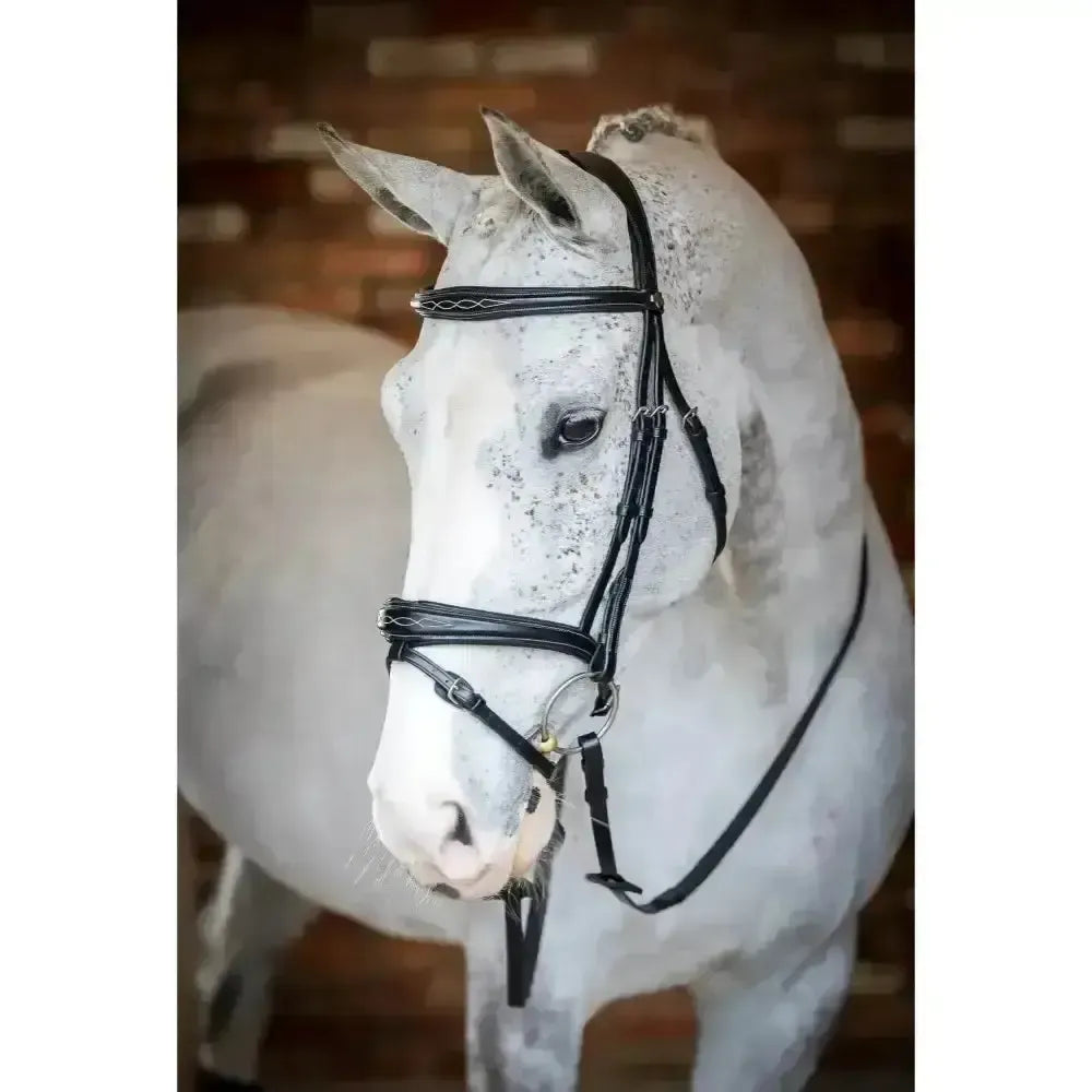 Lemieux Competition Flash Bridle-Bridles-Lemieux-Black-Cob-Horsey Shopping
