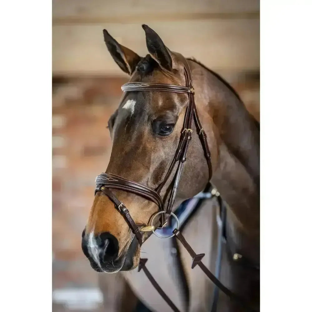 Lemieux Competition Flash Bridle-Bridles-Lemieux-Black-Cob-Horsey Shopping
