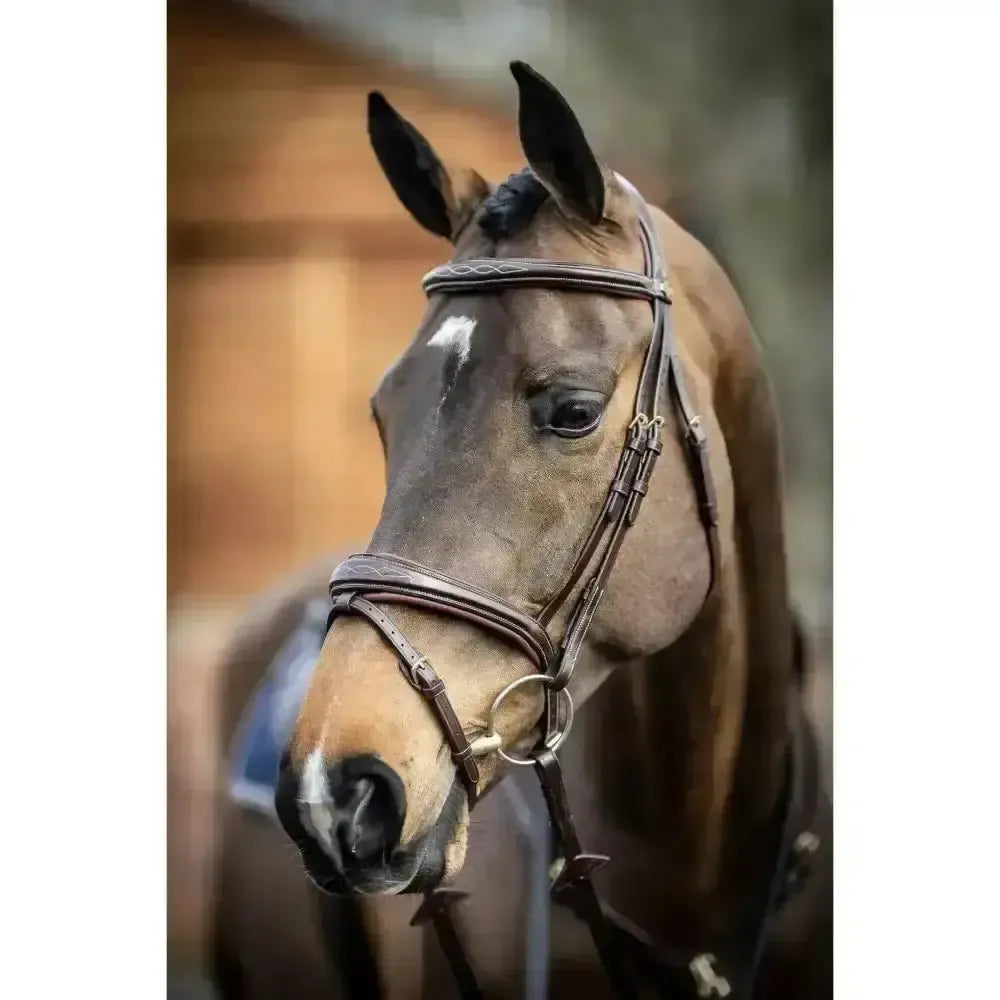 Lemieux Competition Flash Bridle-Bridles-Lemieux-Black-Cob-Horsey Shopping