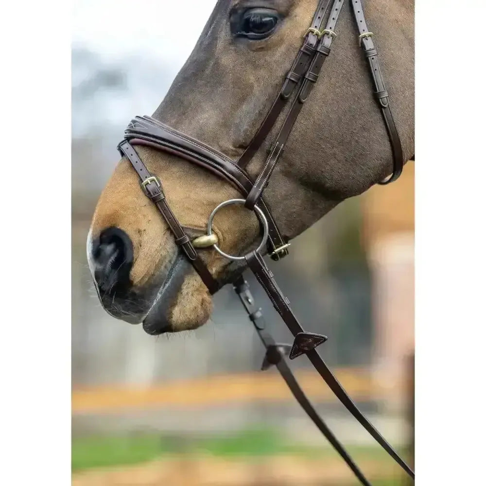 Lemieux Competition Flash Bridle-Bridles-Lemieux-Black-Cob-Horsey Shopping