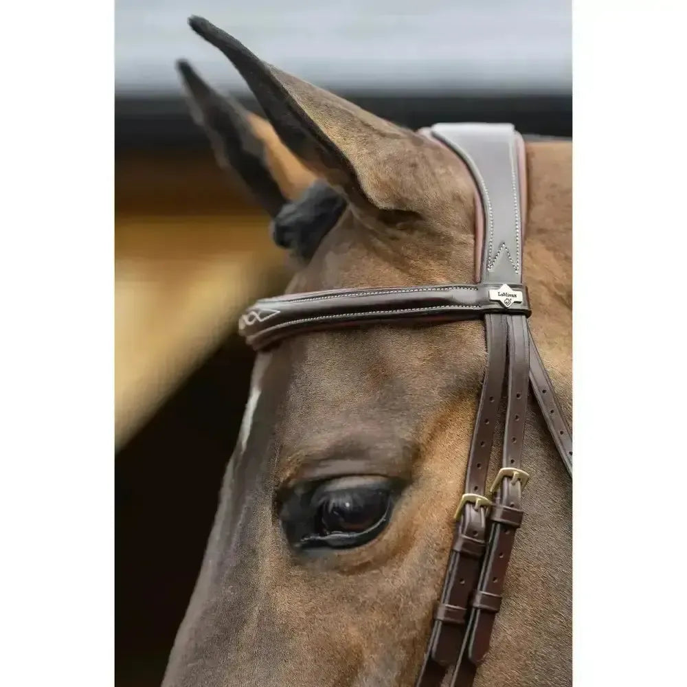 Lemieux Competition Flash Bridle-Bridles-Lemieux-Black-Cob-Horsey Shopping