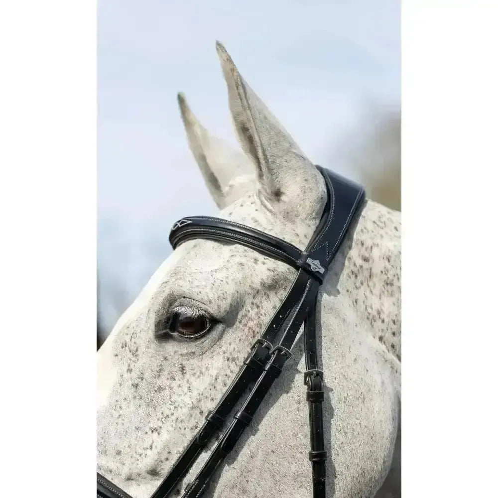 Lemieux Competition Flash Bridle-Bridles-Lemieux-Black-Cob-Horsey Shopping