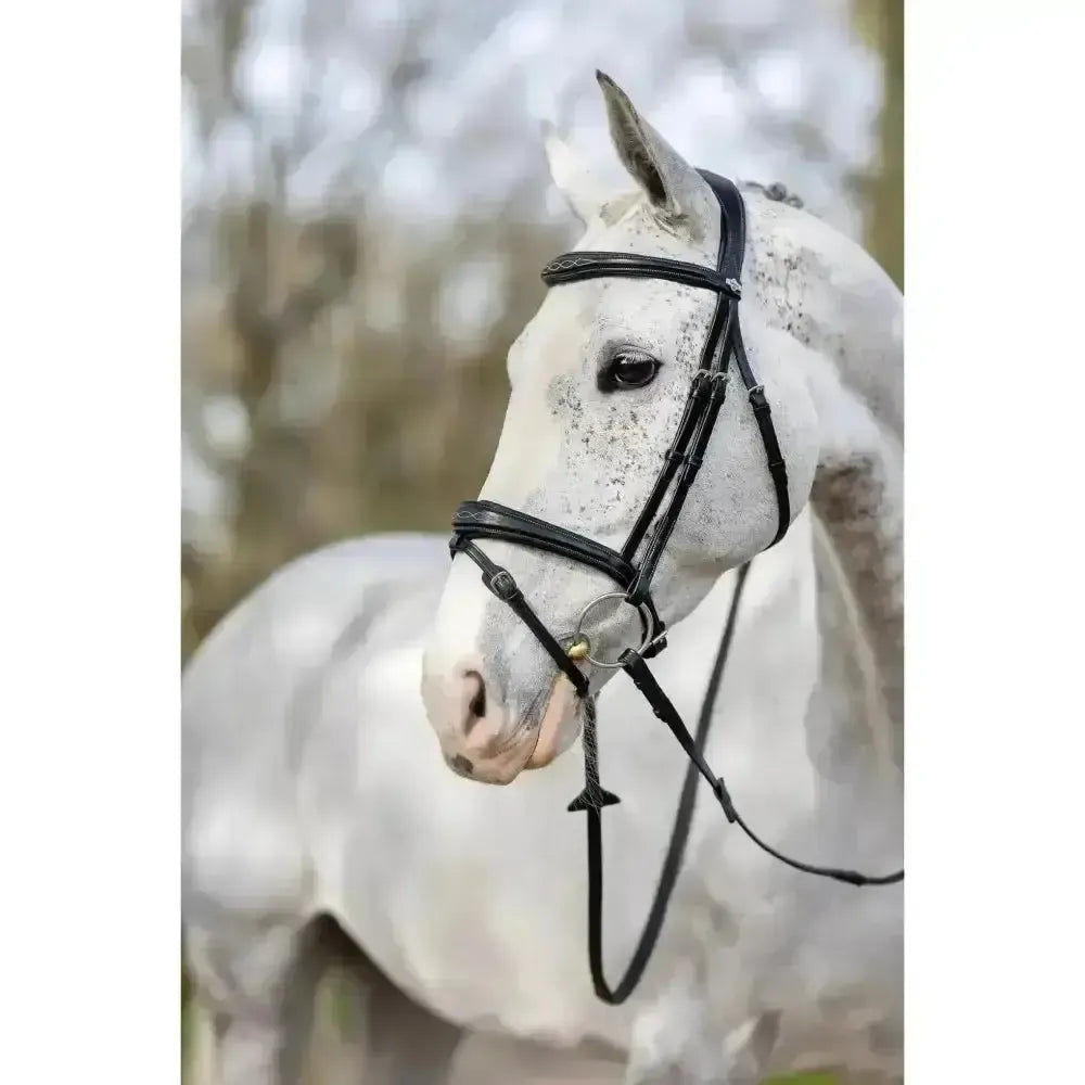 Lemieux Competition Flash Bridle-Bridles-Lemieux-Black-Cob-Horsey Shopping