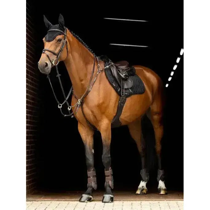 Lemieux Crystal Suede Close Contact Square Black-Saddle Pads-Lemieux-Small/Medium-Black-Horsey Shopping