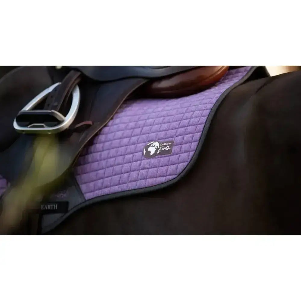 Lemieux Earth Close Contact Square Thistle-Saddle Pads-Lemieux-Large-Thistle-Horsey Shopping