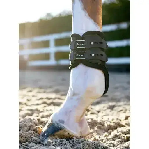 Lemieux Exo-Flex® Fetlock Boot Black/Silver-Fetlock Boots-Lemieux-Medium-Black/Silver-Horsey Shopping