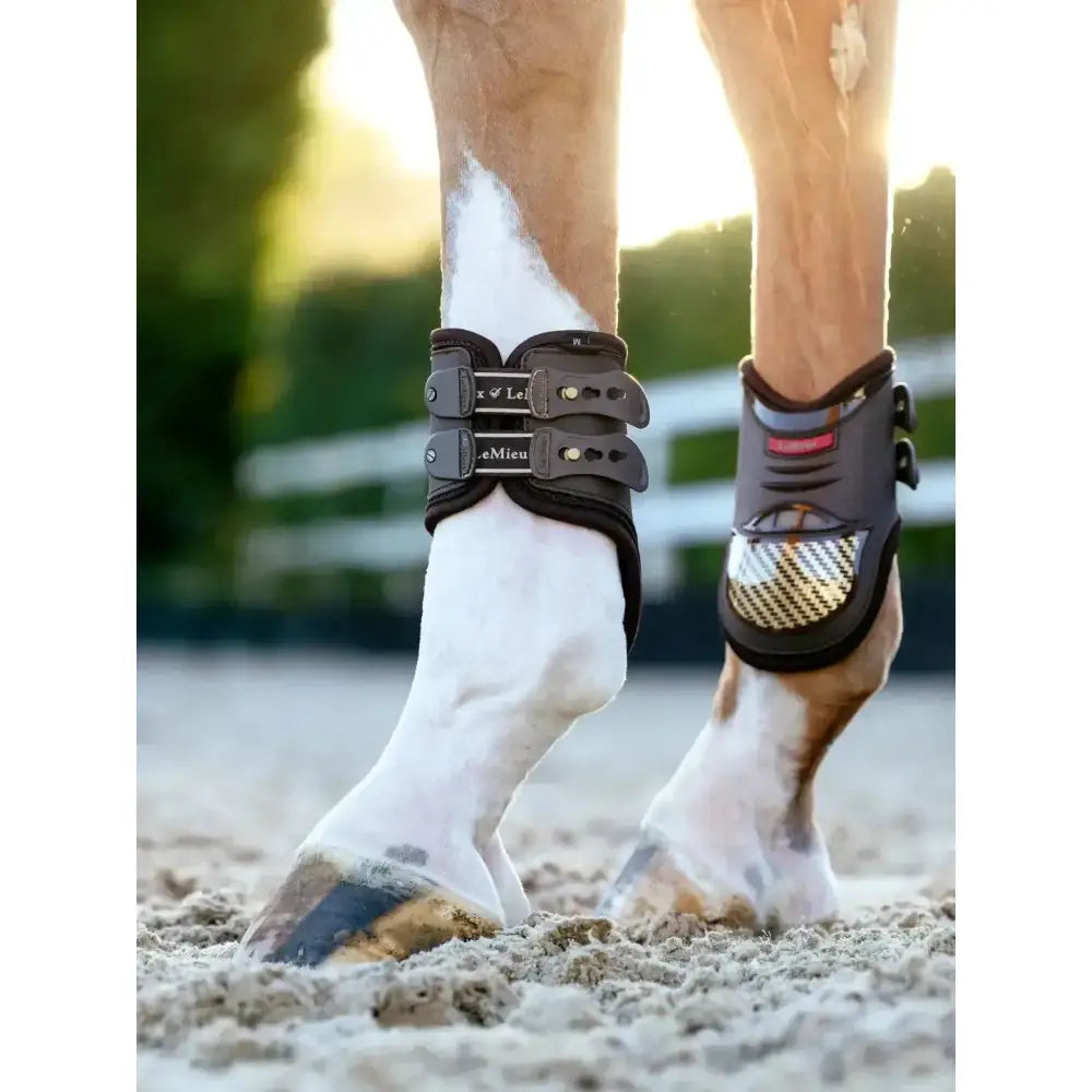 Lemieux Exo-Flex® Fetlock Boot Brown/Gold-Fetlock Boots-Lemieux-Medium-Brown/Gold-Horsey Shopping