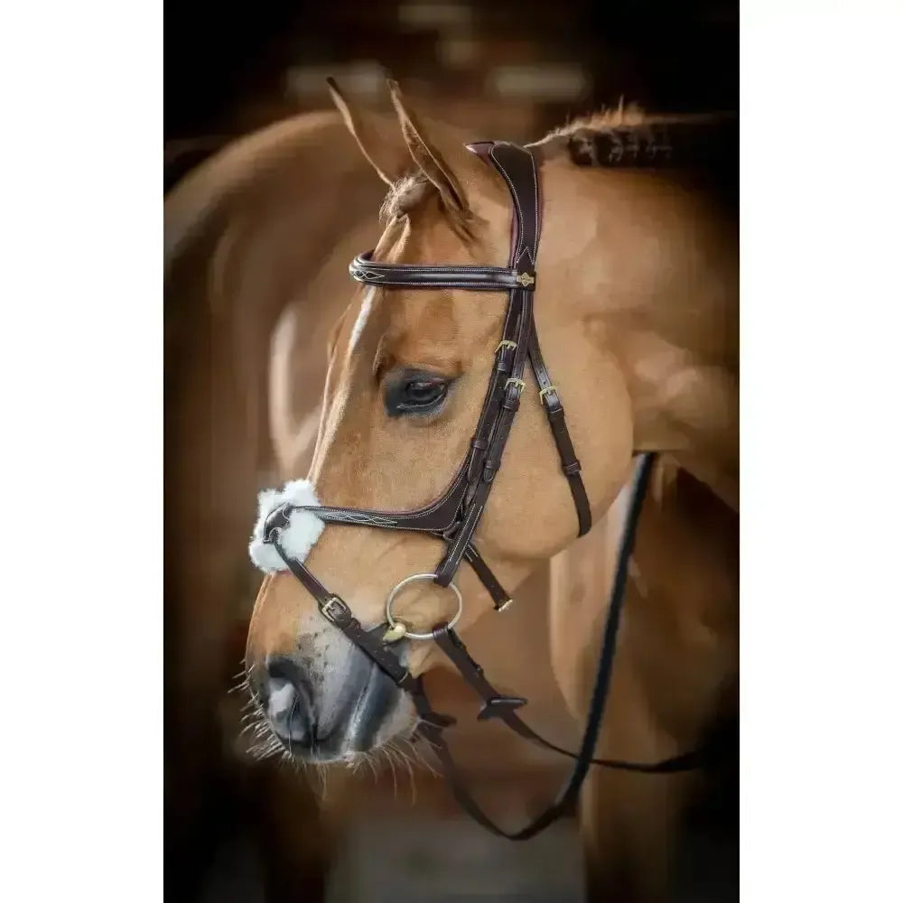 Lemieux Grackle Bridle-Bridles-Lemieux-Black-Cob-Horsey Shopping