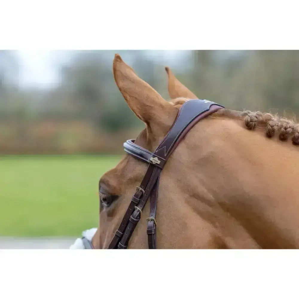 Lemieux Grackle Bridle-Bridles-Lemieux-Black-Cob-Horsey Shopping