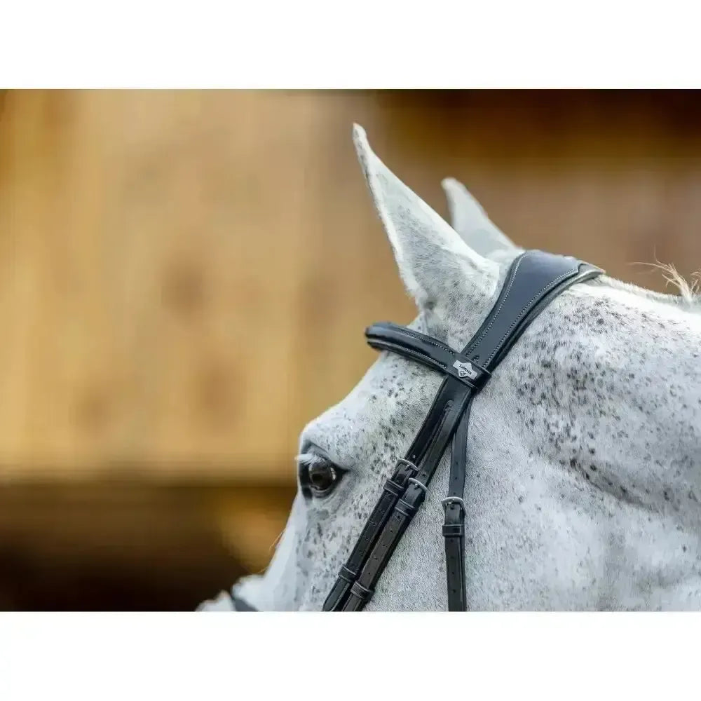 Lemieux Grackle Bridle-Bridles-Lemieux-Black-Cob-Horsey Shopping