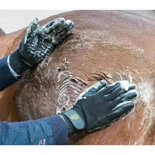 Lemieux Hands On De Shedding Grooming Gloves-Grooming Gloves-Lemieux-X-Small-Horsey Shopping