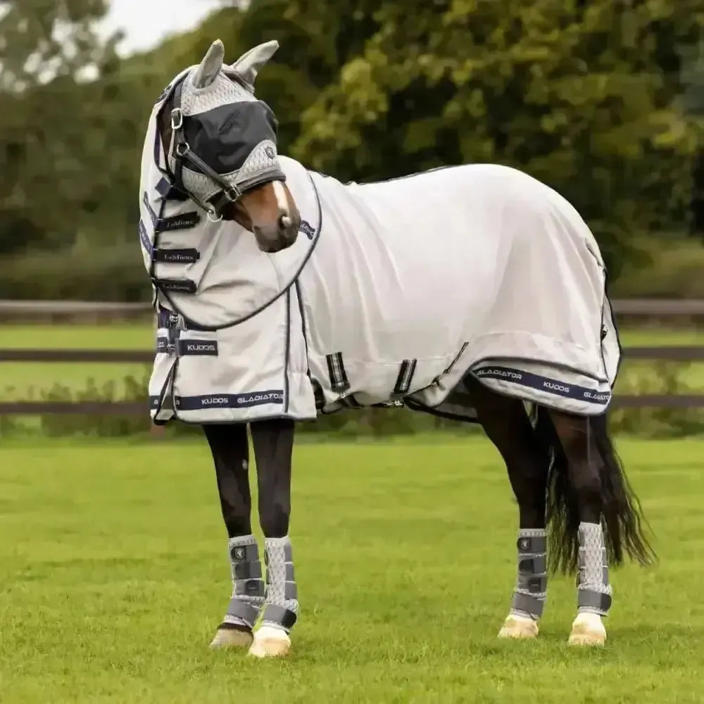 Lemieux Kudos Gladiator Fly Rug-Fly Rugs-Lemieux-5'6"-Horsey Shopping