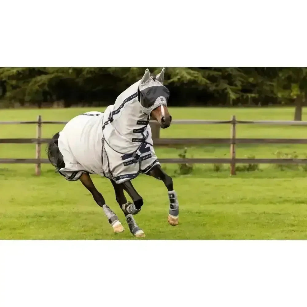 Lemieux Kudos Gladiator Fly Rug-Fly Rugs-Lemieux-5'6"-Horsey Shopping