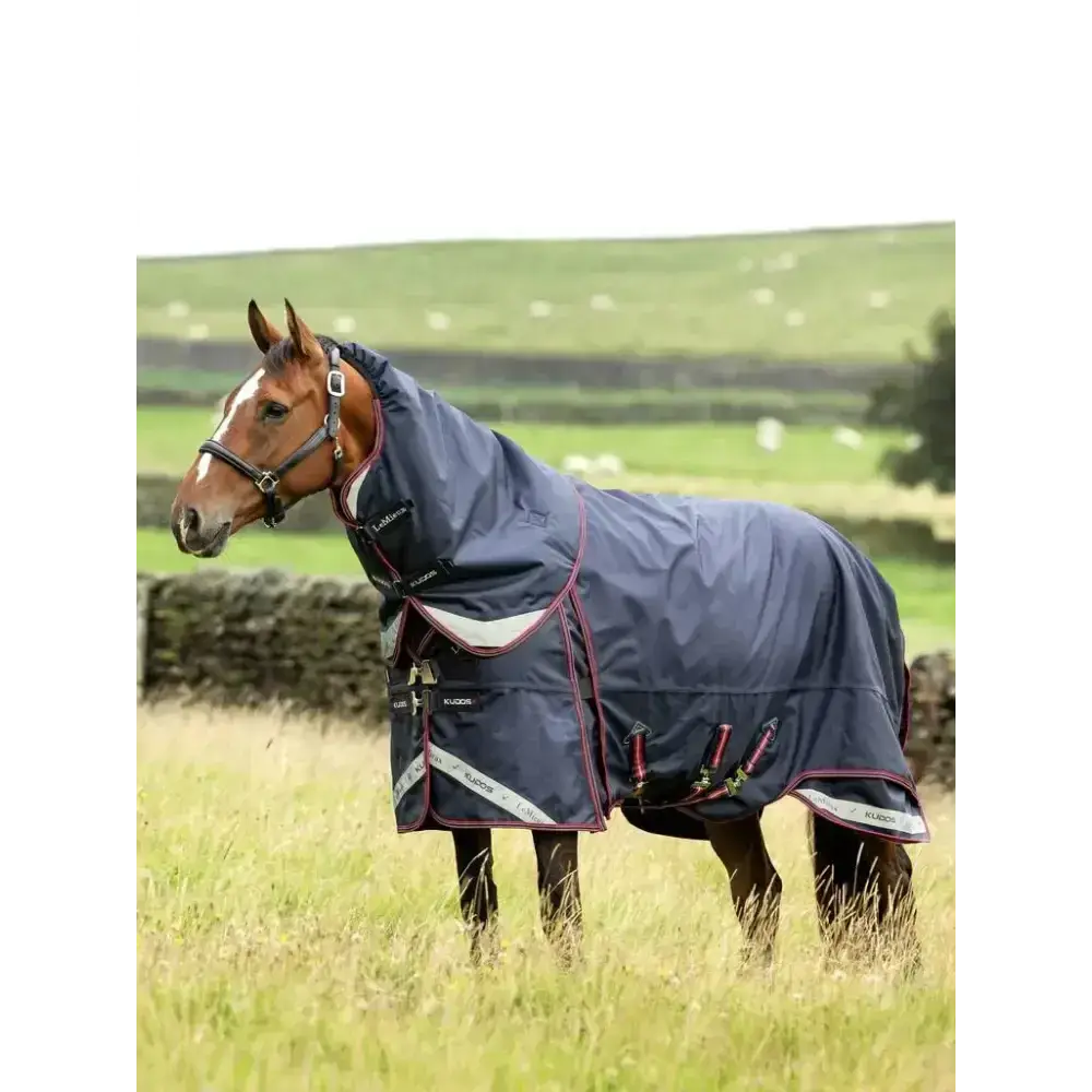 Lemieux Kudos Thermo Layer Turnout Rug 300g Navy-Turnout Rugs-Lemieux-4'9-Horsey Shopping