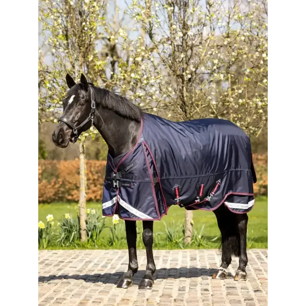 Lemieux Kudos Turnout Rug 100g Navy-Turnout Rugs-Lemieux-4'9-Horsey Shopping