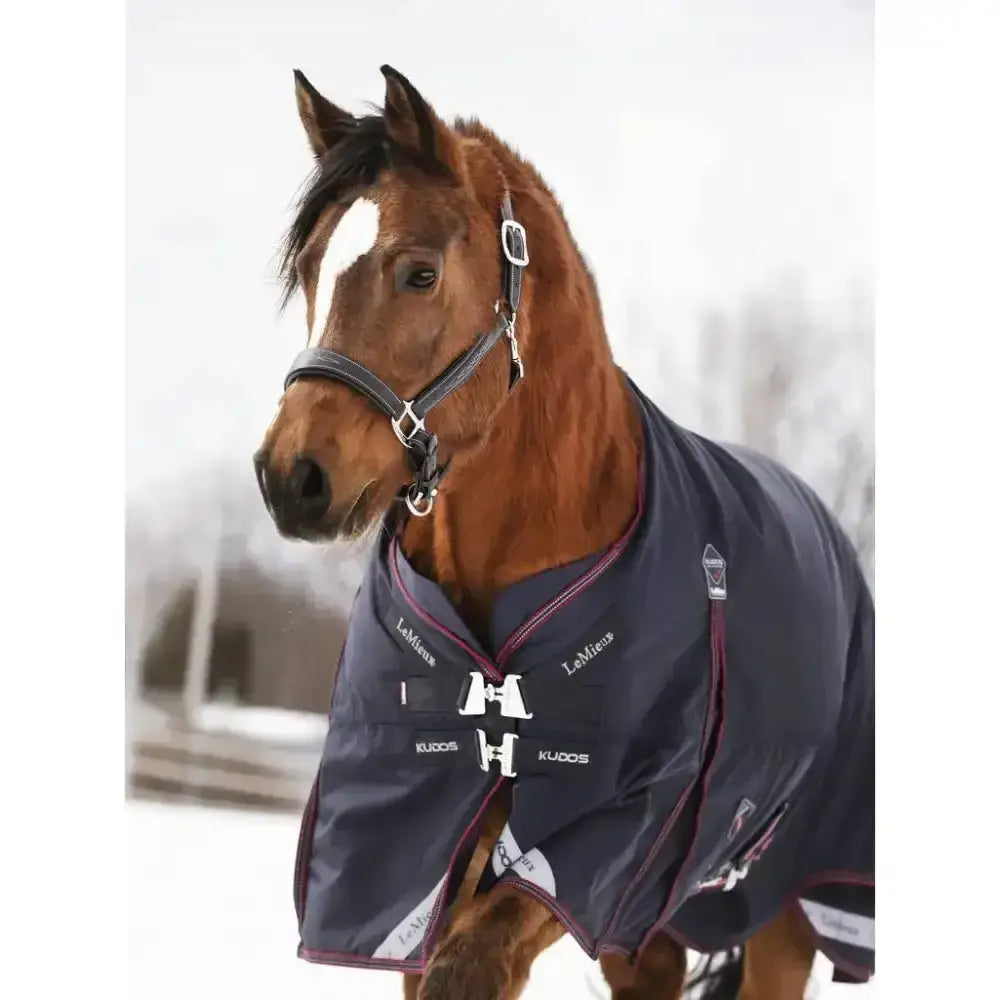 Lemieux Kudos Turnout Rug 200g Navy-Turnout Rugs-Lemieux-4'9-Navy-Horsey Shopping