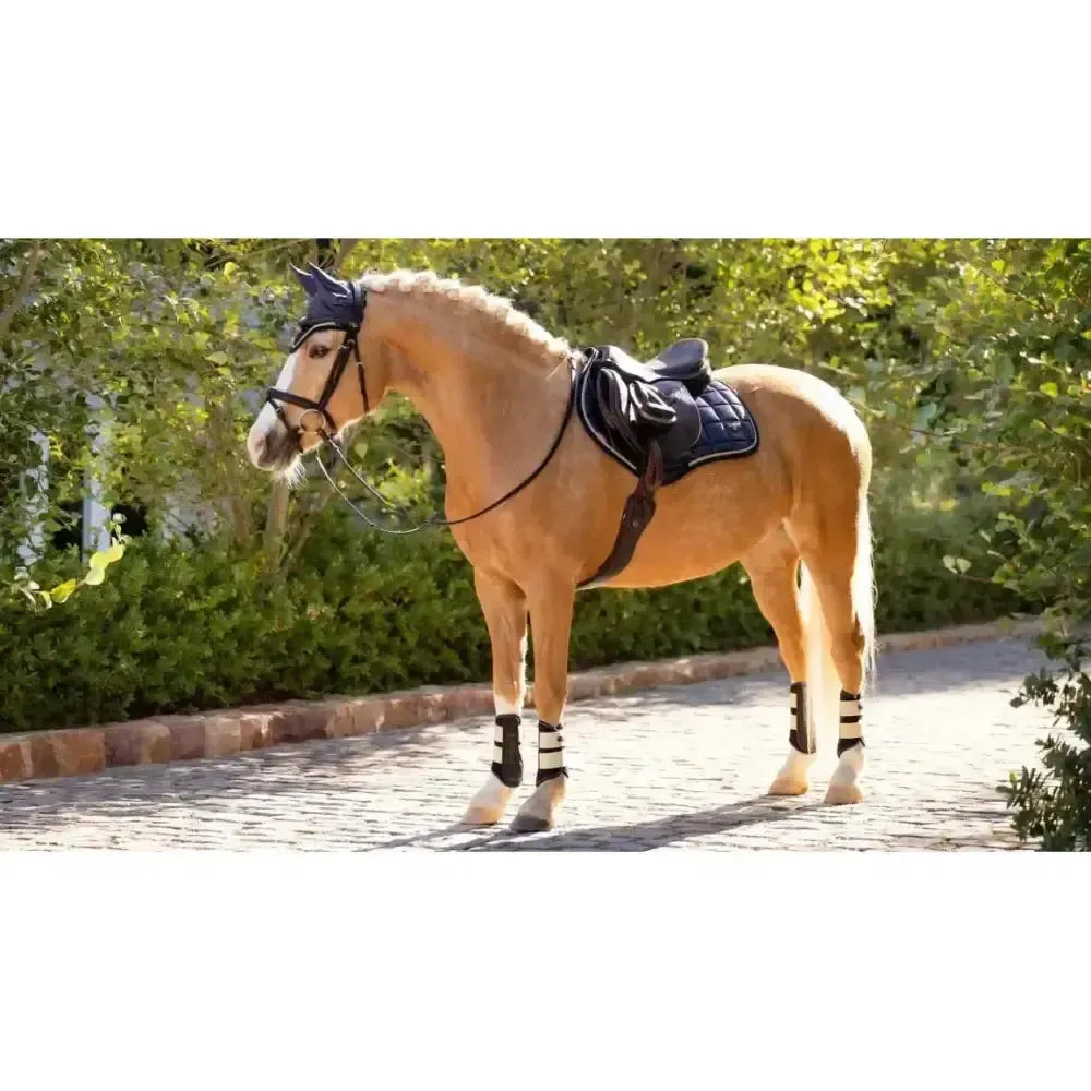 Lemieux Loire Classic Close Contact Square Dusk Blue-Saddle Pads-Lemieux-Dusk Blue-Large-Horsey Shopping