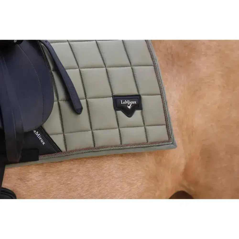 Lemieux Loire Classic Dressage Square Fern-Dressage Saddle Pads-Lemieux-Small/Medium-Horsey Shopping