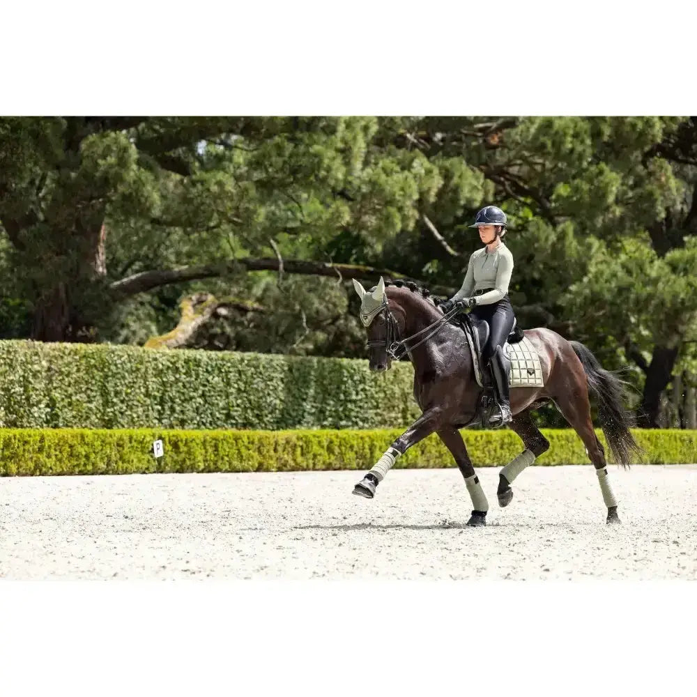 Lemieux Loire Classic Dressage Square Fern-Dressage Saddle Pads-Lemieux-Small/Medium-Horsey Shopping