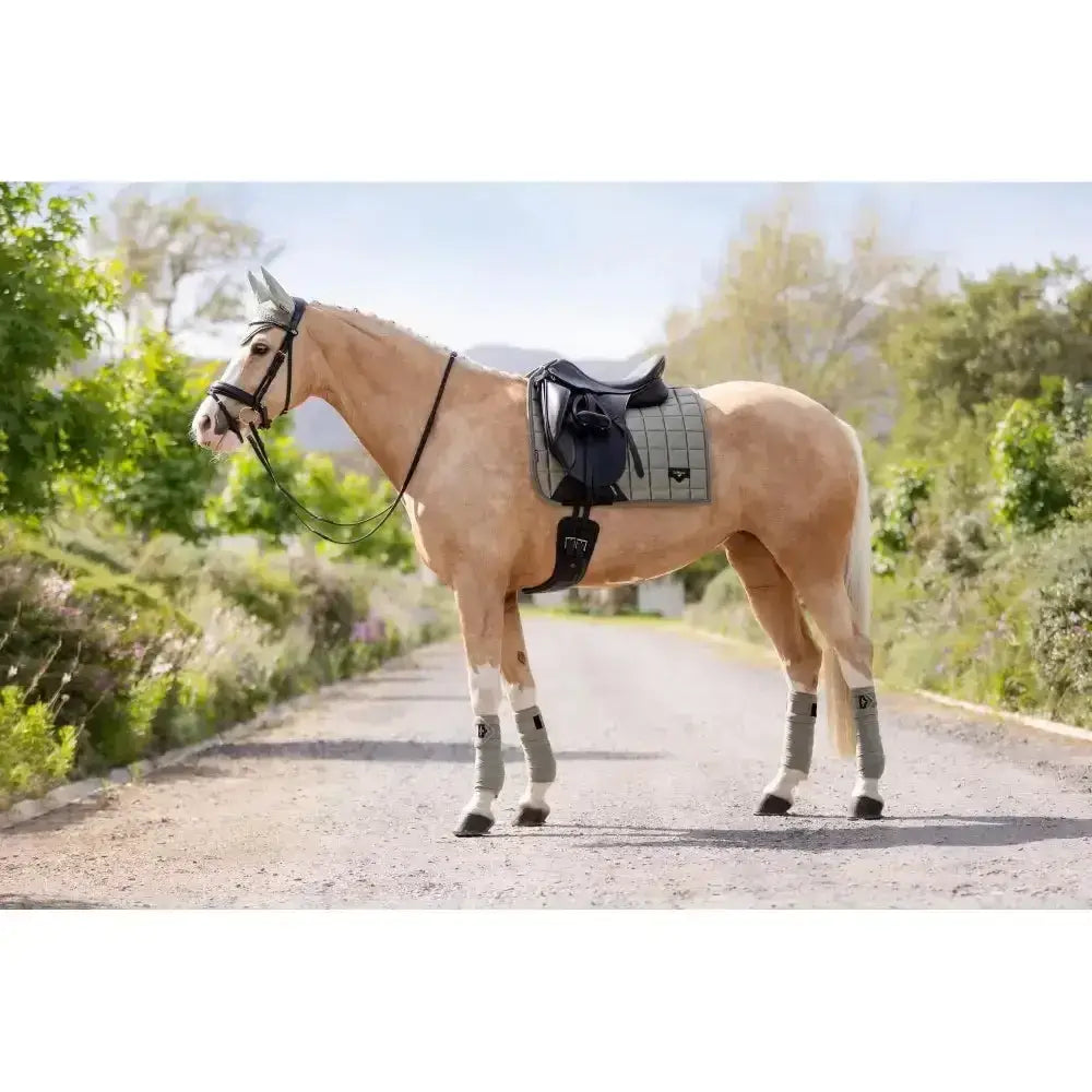 Lemieux Loire Classic Dressage Square Fern-Dressage Saddle Pads-Lemieux-Small/Medium-Horsey Shopping