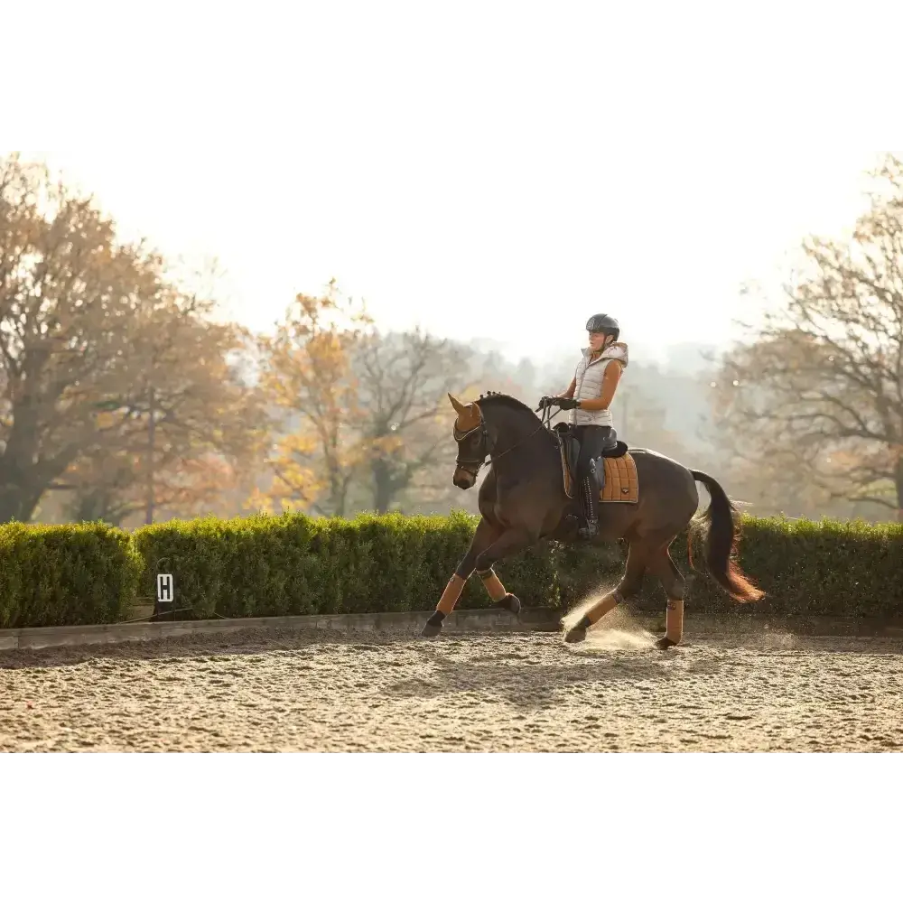 Lemieux Loire Classic Dressage Square Ginger-Dressage Saddle Pads-Lemieux-Small/Medium-Ginger-Horsey Shopping