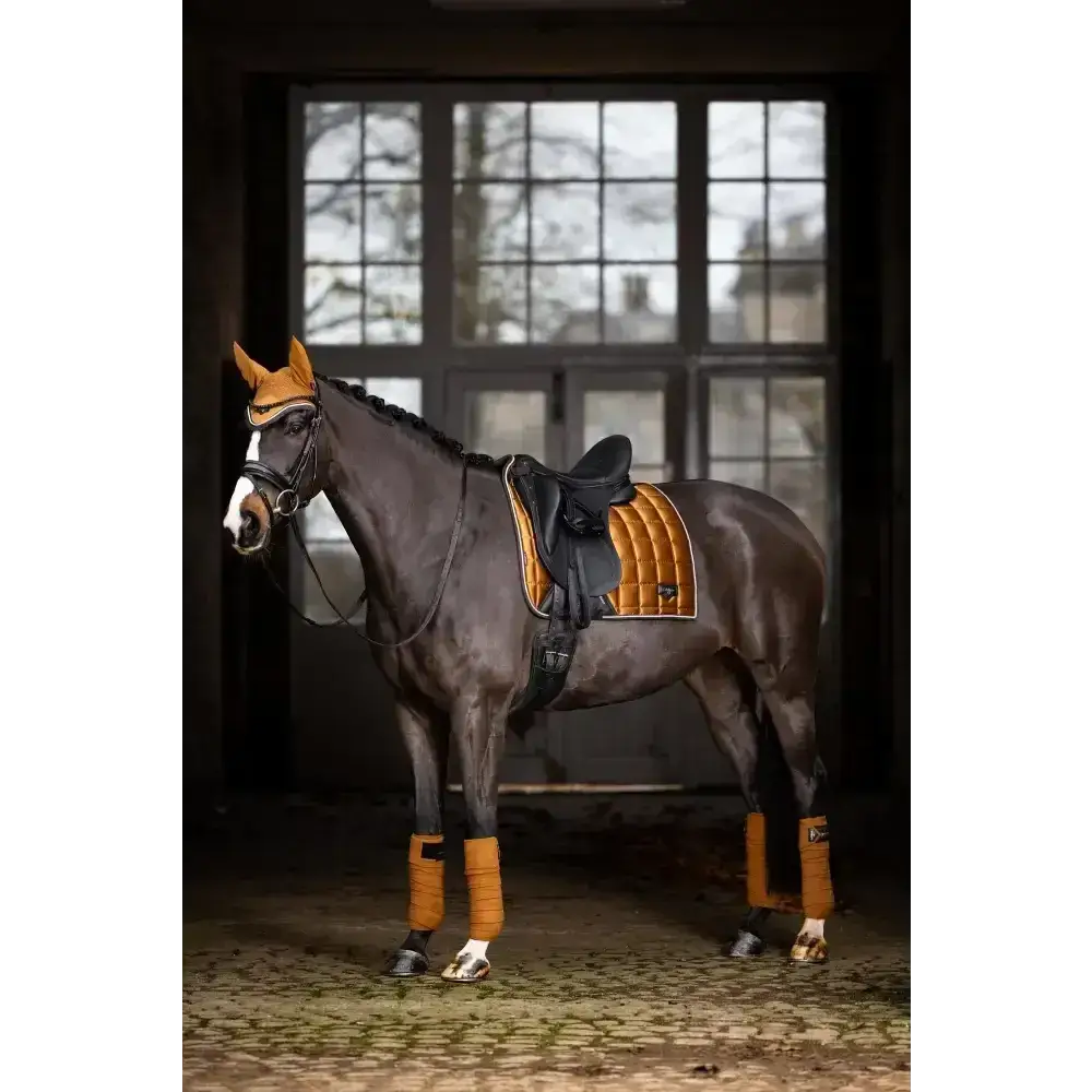 Lemieux Loire Classic Dressage Square Ginger-Dressage Saddle Pads-Lemieux-Small/Medium-Ginger-Horsey Shopping