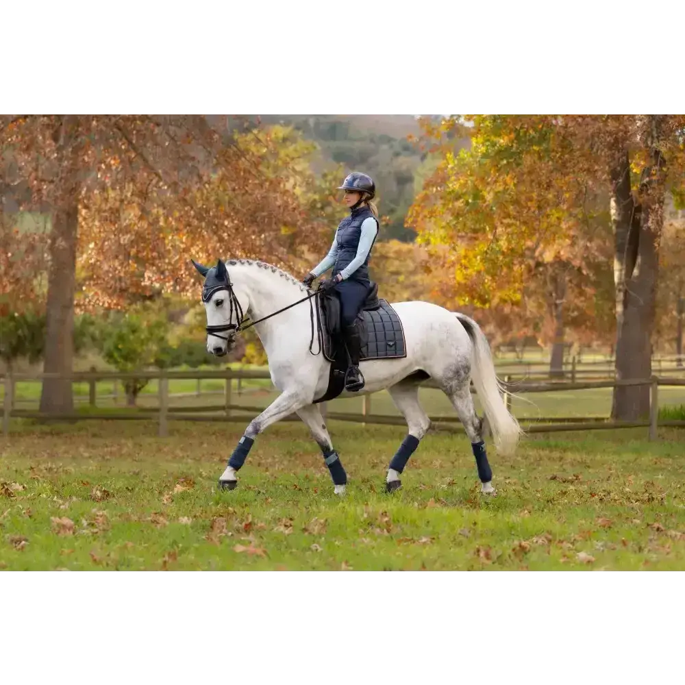 Lemieux Loire Classic Dressage Square Petrol-Dressage Saddle Pads-Lemieux-Small/Medium-Petrol-Horsey Shopping