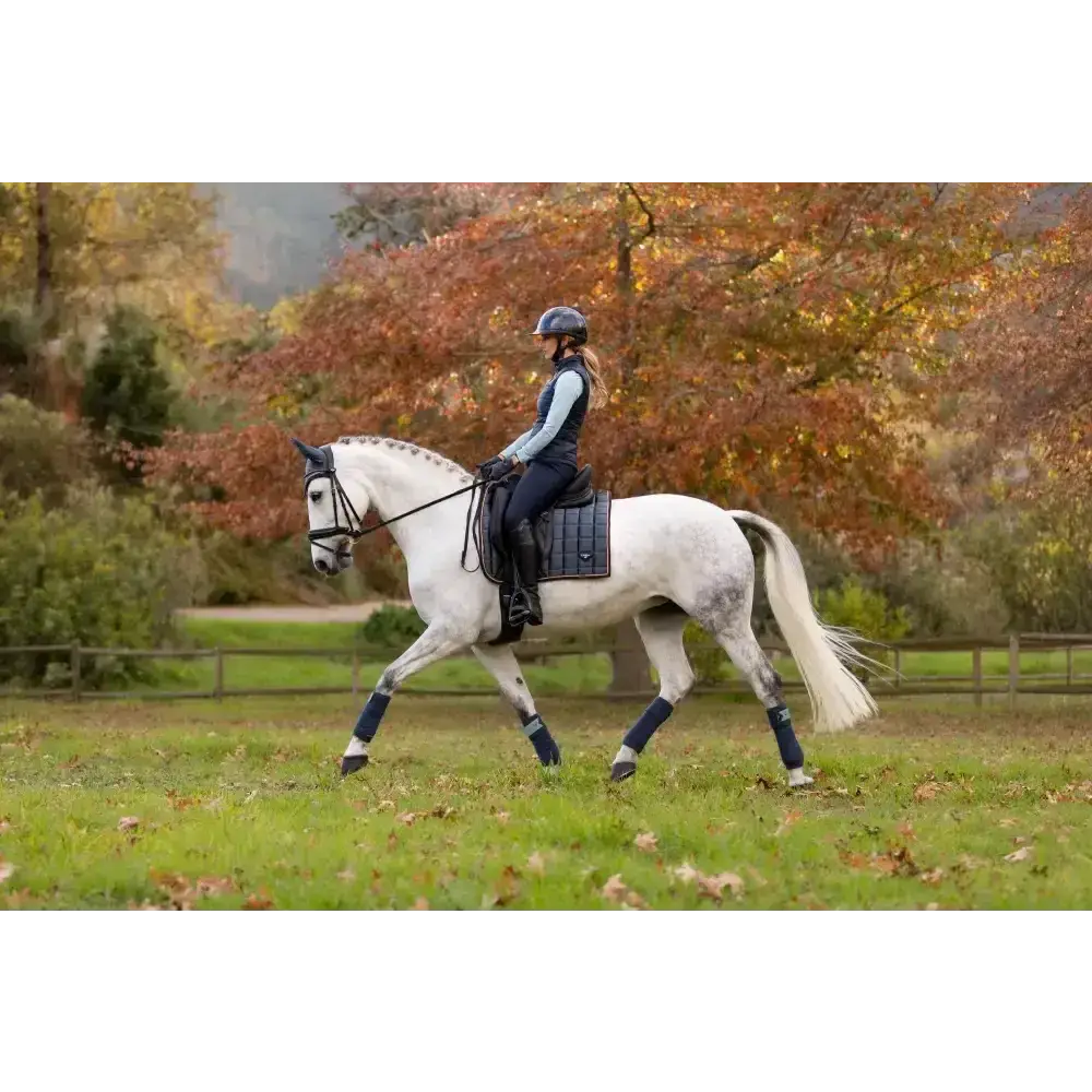 Lemieux Loire Classic Dressage Square Petrol-Dressage Saddle Pads-Lemieux-Small/Medium-Petrol-Horsey Shopping