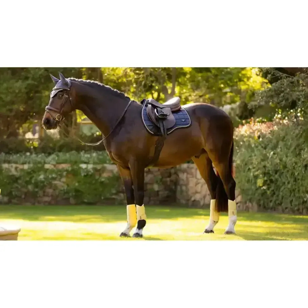 Lemieux Loire Classic GP Square Dusk Blue-Saddle Pads-Lemieux-Dusk Blue-Small/Medium-Horsey Shopping