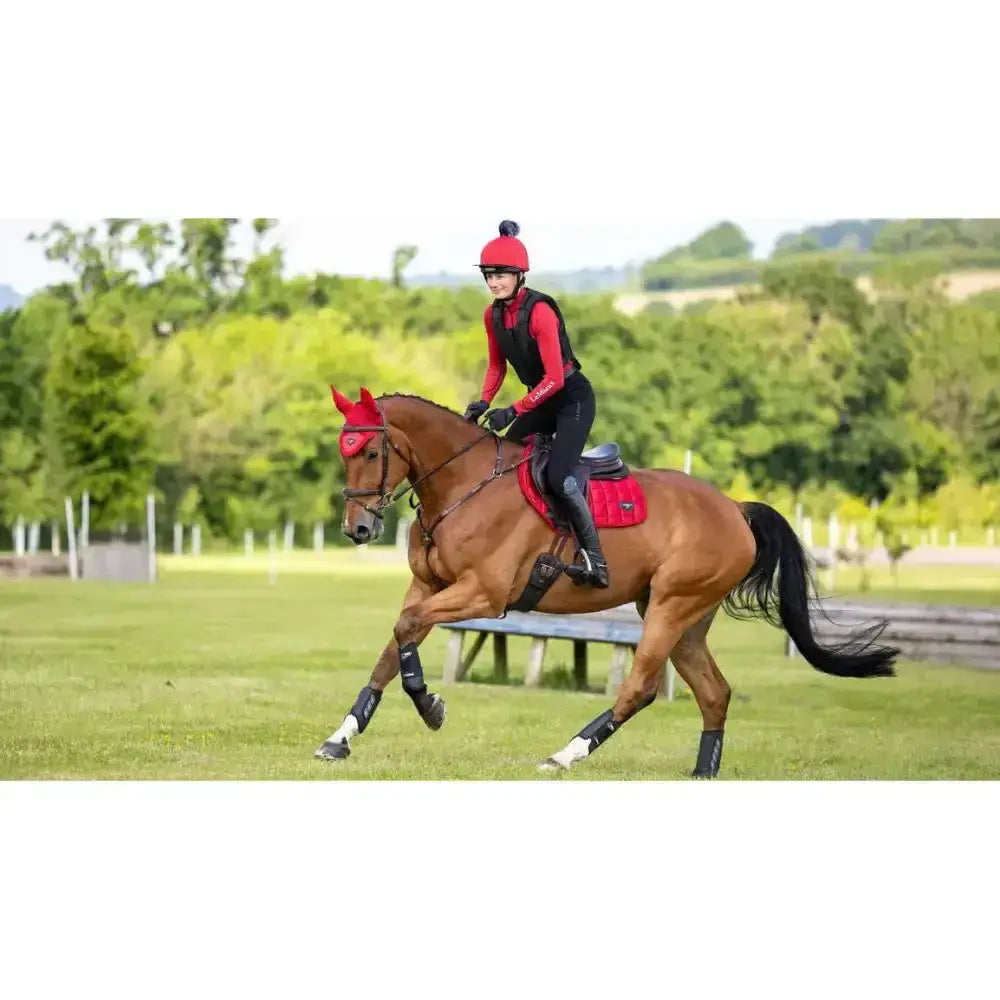 Lemieux Loire Close Contact Square Chilli-Saddle Pads-Lemieux-Large-Chilli-Horsey Shopping