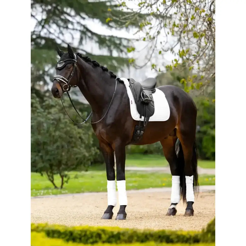 Lemieux Merino+ Half Lined Suede Dressage Square White/White-Dressage Saddle Pads-Lemieux-Medium-White/White-Horsey Shopping