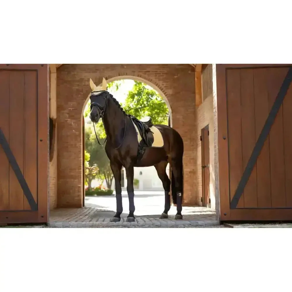 Lemieux Suede Dressage Square Mimosa-Dressage Saddle Pads-Lemieux-Mimosa-Small/Medium-Horsey Shopping