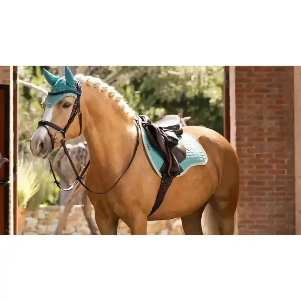 Lemieux Suede GP Square Lagoon-Saddle Pads-Lemieux-Lagoon-Small/Medium-Horsey Shopping