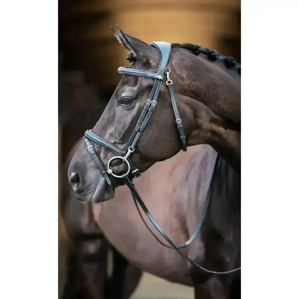 Lemieux Work Bridle-Bridles-Lemieux-Black-Cob-Horsey Shopping