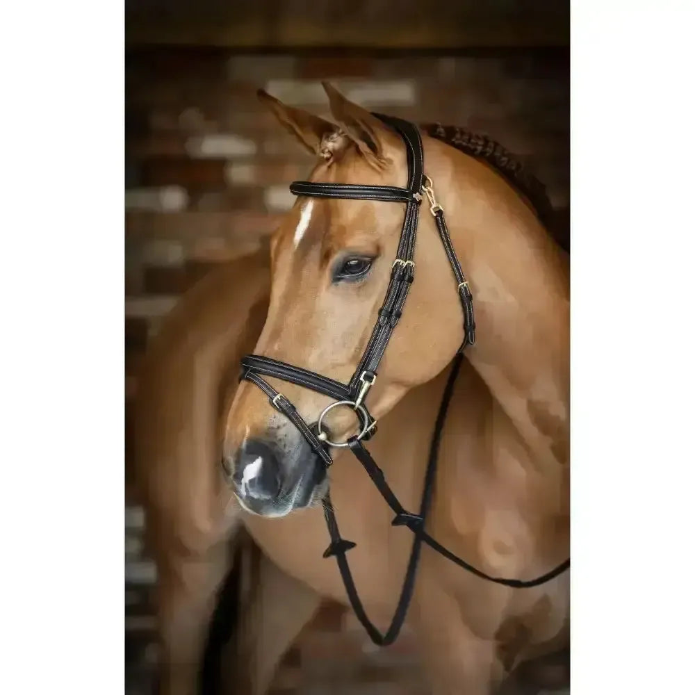 Lemieux Work Bridle-Bridles-Lemieux-Brown-Cob-Horsey Shopping