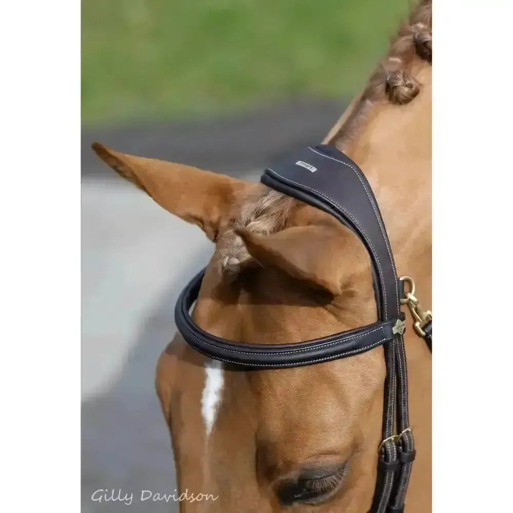 Lemieux Work Bridle-Bridles-Lemieux-Black-Cob-Horsey Shopping