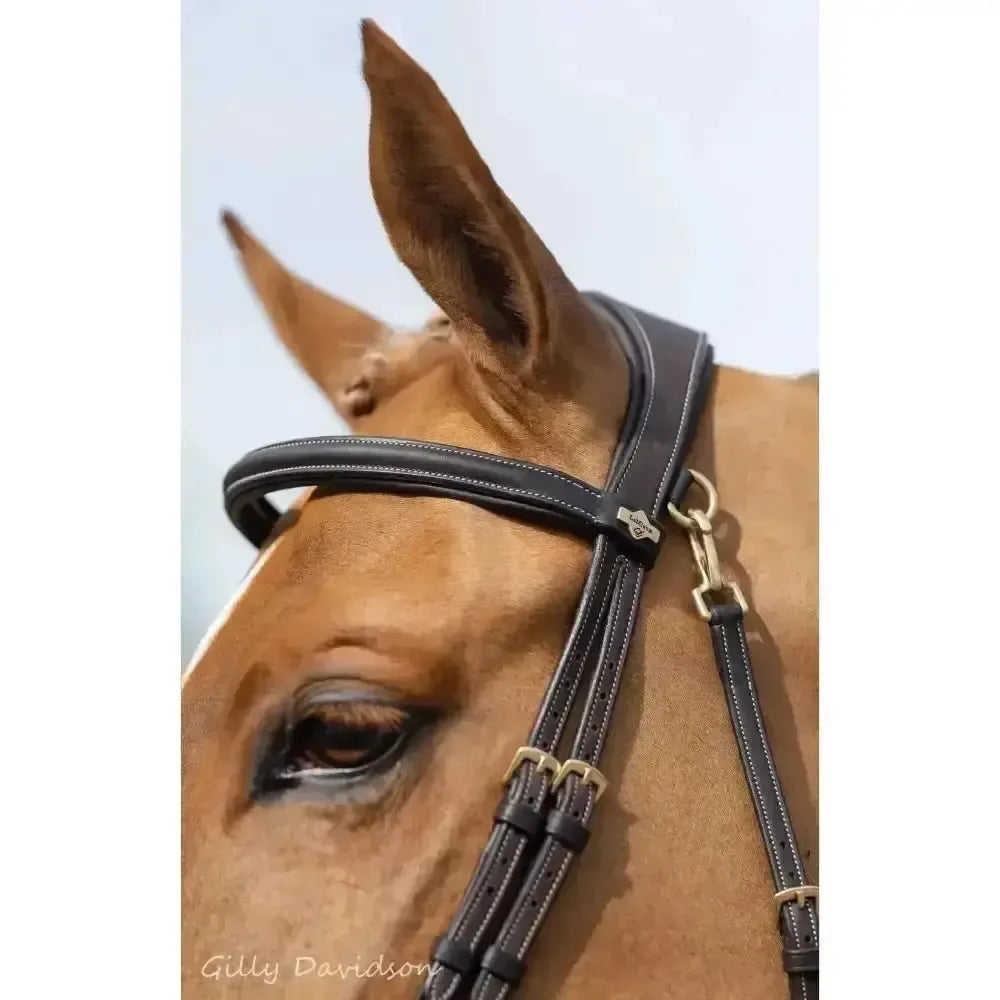 Lemieux Work Bridle-Bridles-Lemieux-Black-Cob-Horsey Shopping