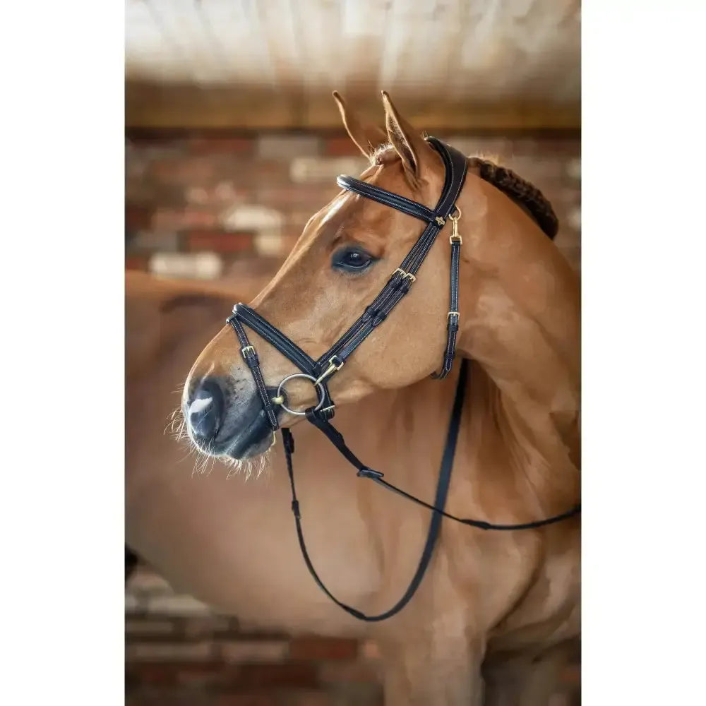 Lemieux Work Bridle-Bridles-Lemieux-Black-Cob-Horsey Shopping