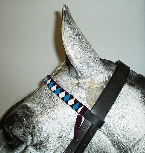 Velvet Browbands