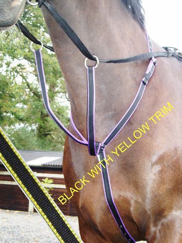 Running Martingale