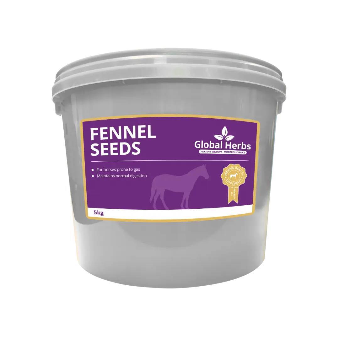 Fennel Seeds  - Global Herbs